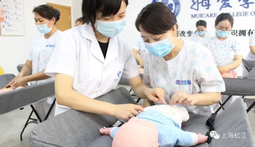 上海五大新城发力崛起商机无限,家政母婴护理行业顺势突围